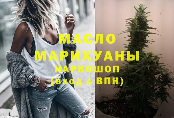 СК Алексин