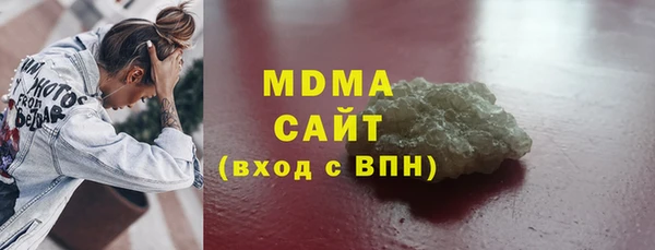 СК Алексин