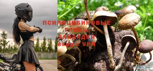 дурь Алексеевка