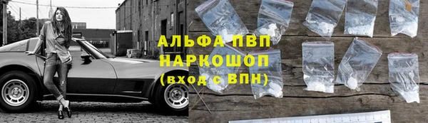 a pvp Гусиноозёрск